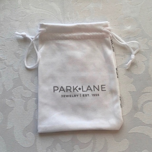 🆕Park Lane Oui Earrings Hematite TearDrop Hooks - Picture 15 of 16